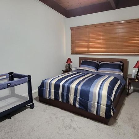 Entire One Bedroom Apartment Annandale Ngoại thất bức ảnh