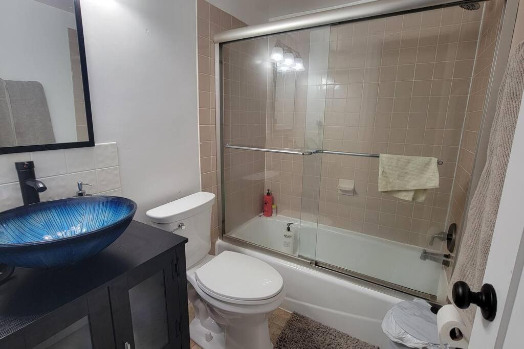 Entire One Bedroom Apartment Annandale Ngoại thất bức ảnh