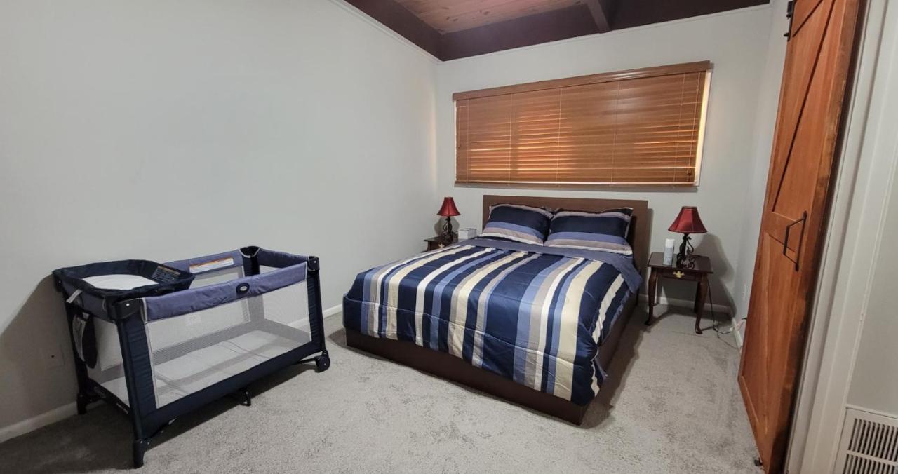 Entire One Bedroom Apartment Annandale Ngoại thất bức ảnh