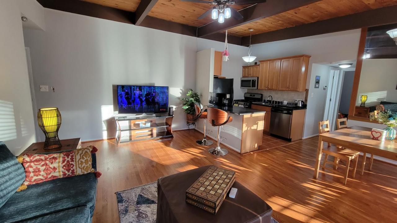 Entire One Bedroom Apartment Annandale Ngoại thất bức ảnh