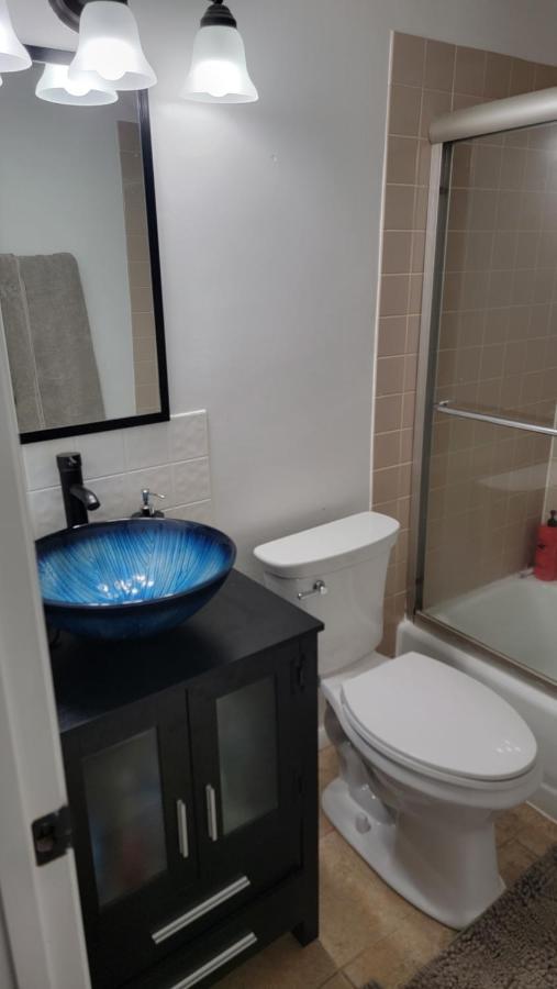 Entire One Bedroom Apartment Annandale Ngoại thất bức ảnh